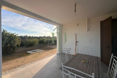 Villa i Mesagne, Brindisi, Mesagne - € 365.000 | Ref: Villa Palme - foto 13